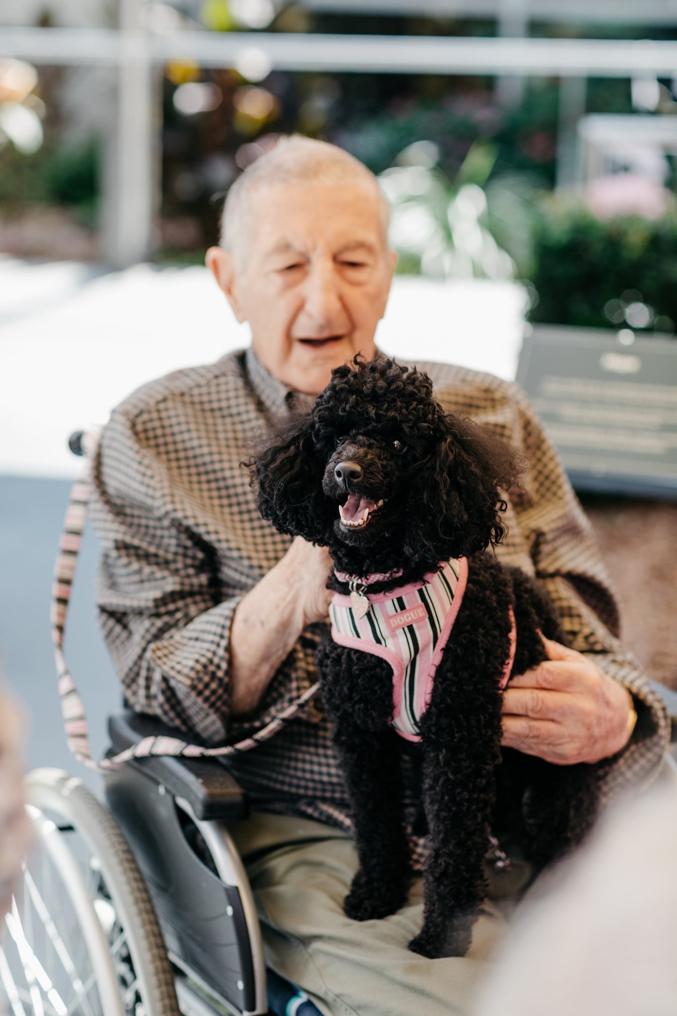 The first 30 days in aged care